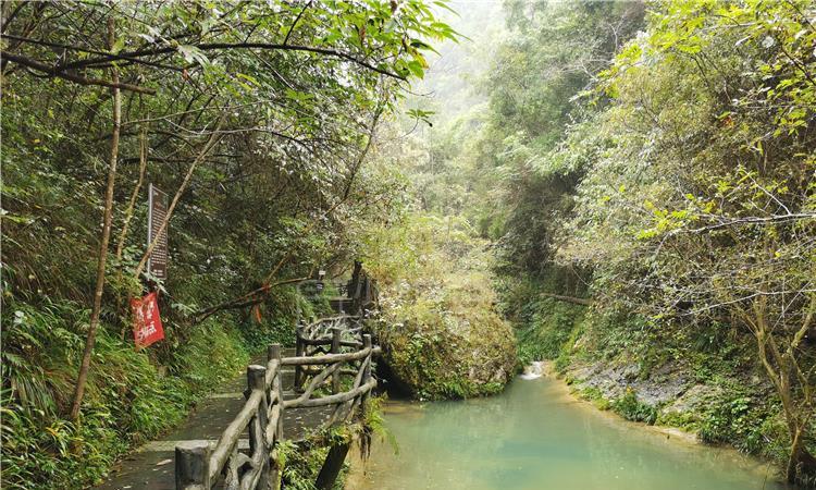 探索找陌生人抱团养老靠谱么?,聚集知识、分享智慧